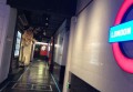 上海金山区枫泾镇附近夜总会招聘商务礼仪,跟领队还是直招