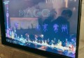 上海浦东新区老港镇附近夜总会招聘商务礼仪,(不收入职费,直接入职的)